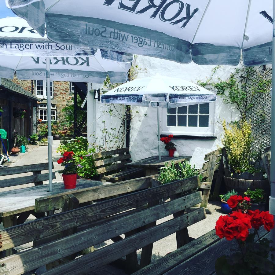 The Tree Inn Bude Exterior foto